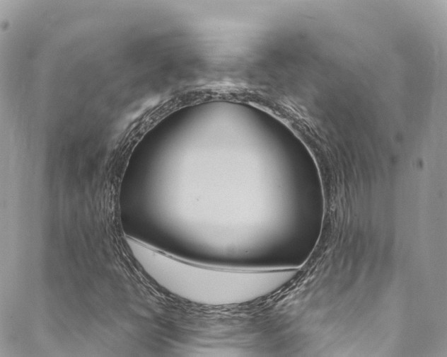 X0000089351398200706150834