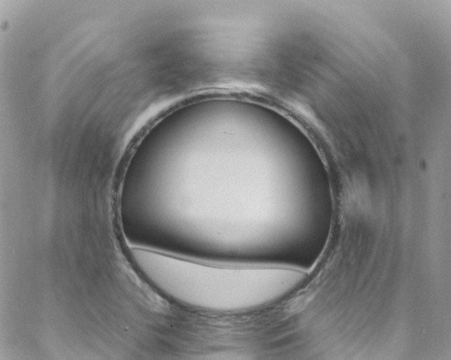 X0000089351412200706150834