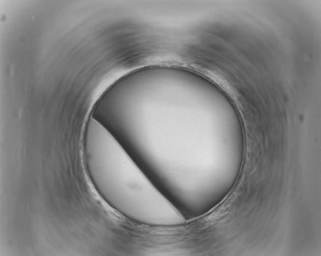 X0000089351440200706150834