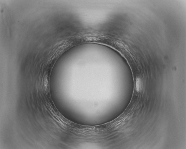 X0000089351444200706150834