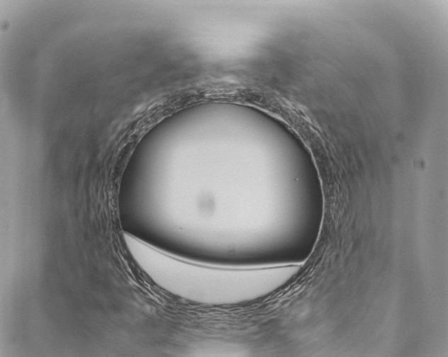 X0000089351445200706150834
