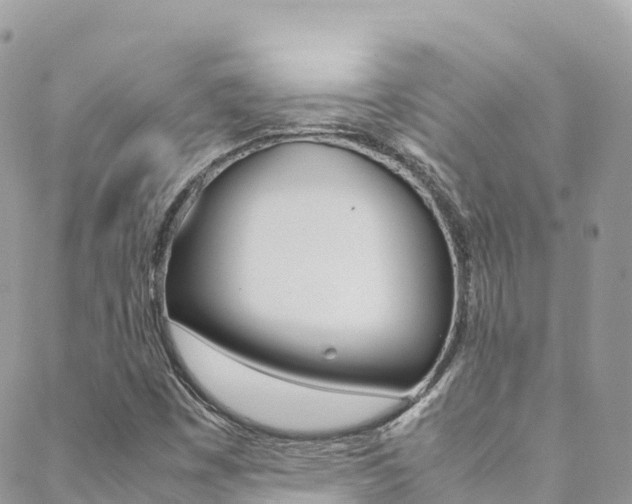 X0000089351449200706150834
