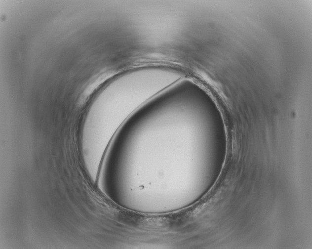 X0000089351453200706150833