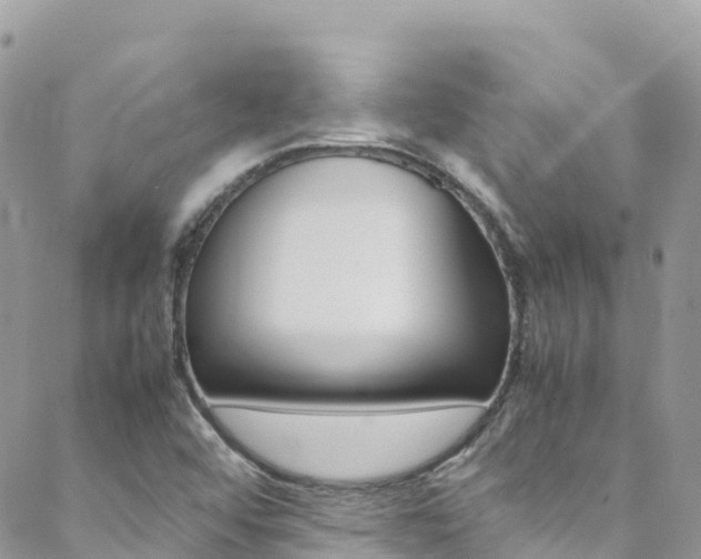 X0000089351456200706150833