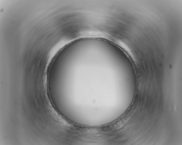 X0000089351472200706150833