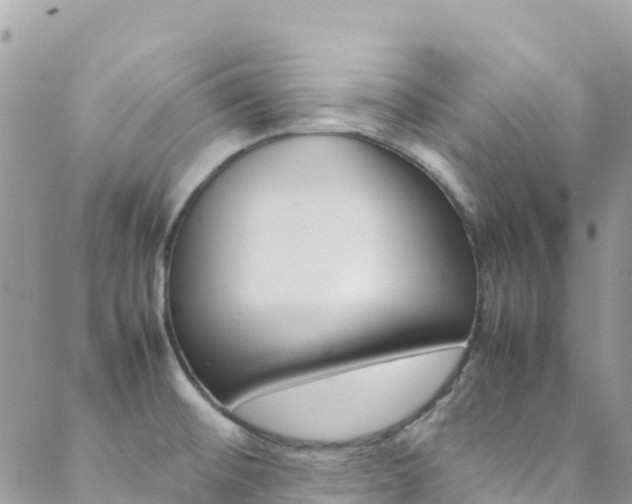 X0000089351476200706150833