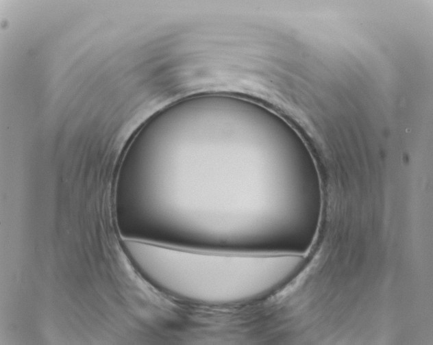 X0000089351513200706150832