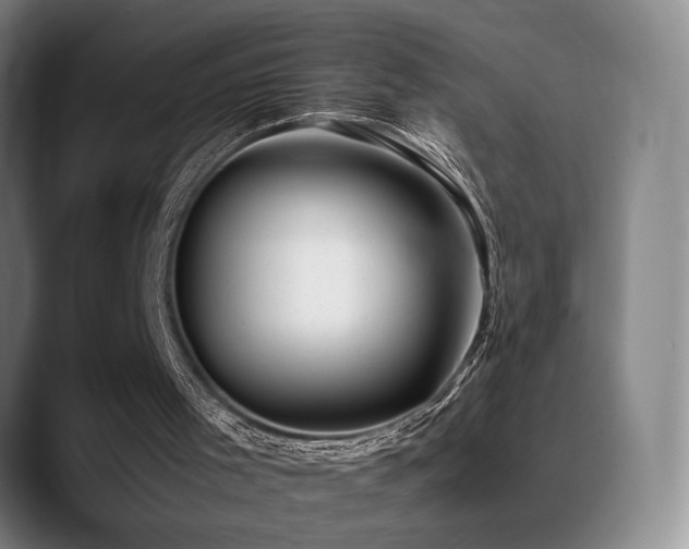 X0000089350001200706151110
