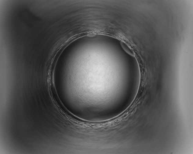 X0000089350002200706151110