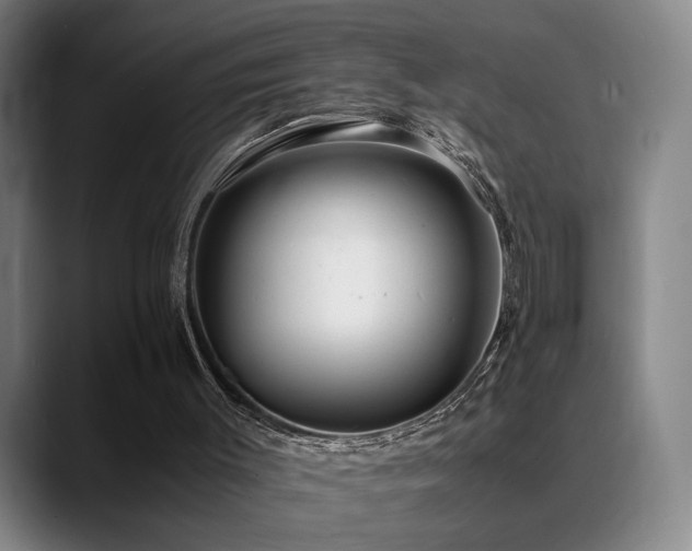 X0000089350003200706151110