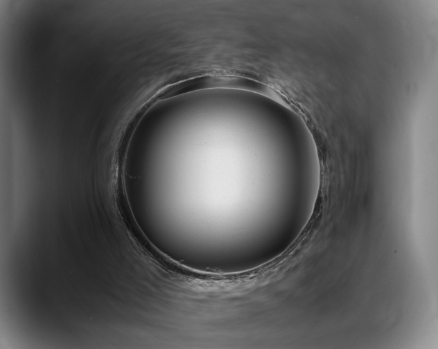 X0000089350005200706151110