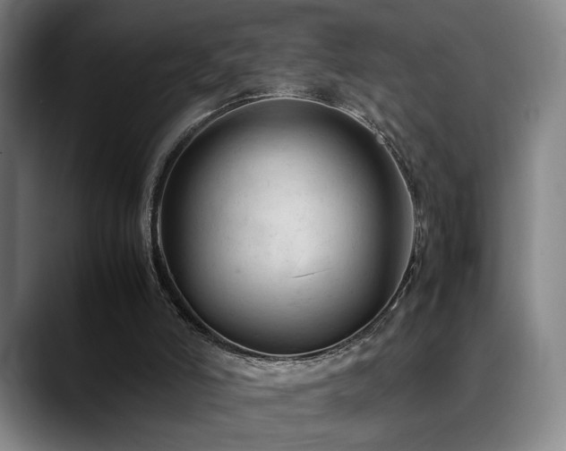 X0000089350006200706151110