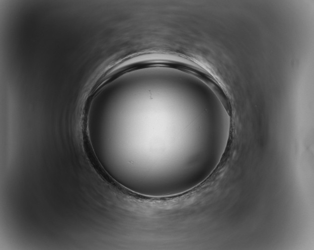 X0000089350007200706151110