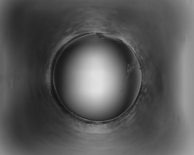 X0000089350008200706151110