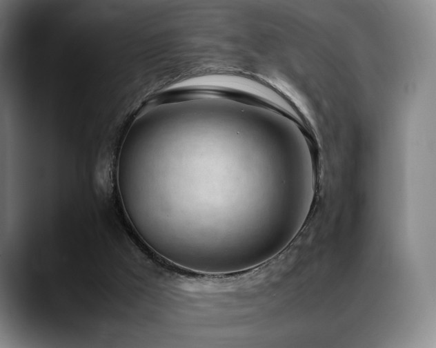 X0000089350009200706151110