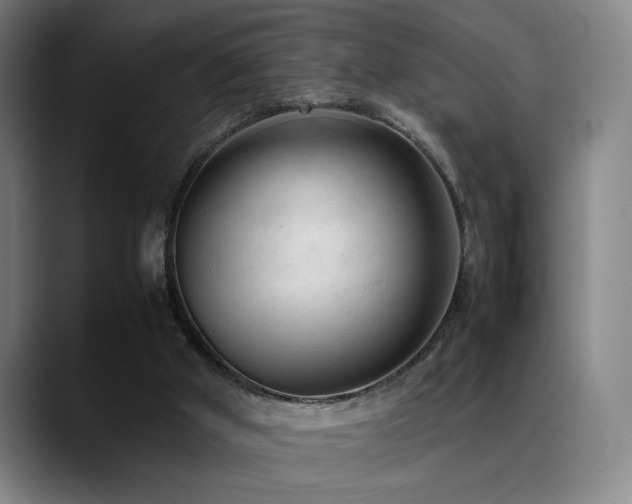 X0000089350010200706151110
