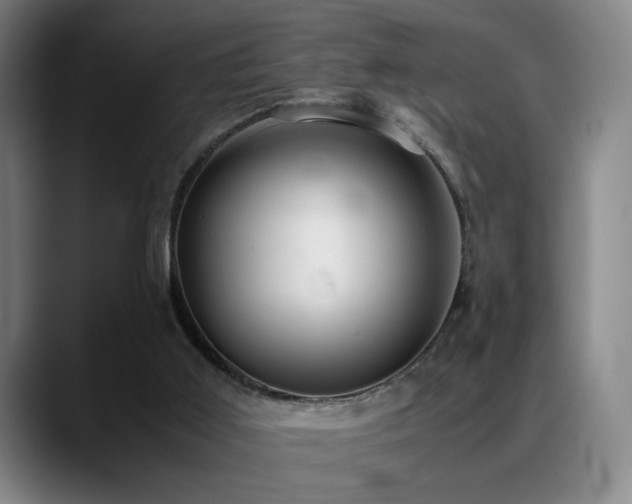 X0000089350011200706151110