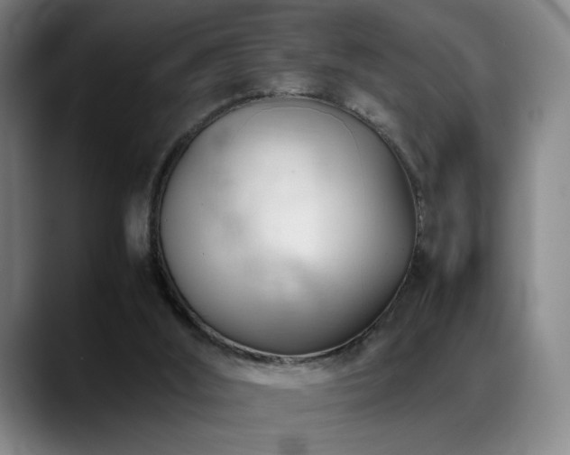 X0000089350012200706151110
