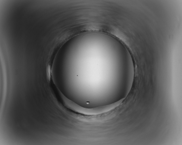 X0000089350013200706151110