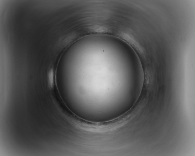 X0000089350014200706151110
