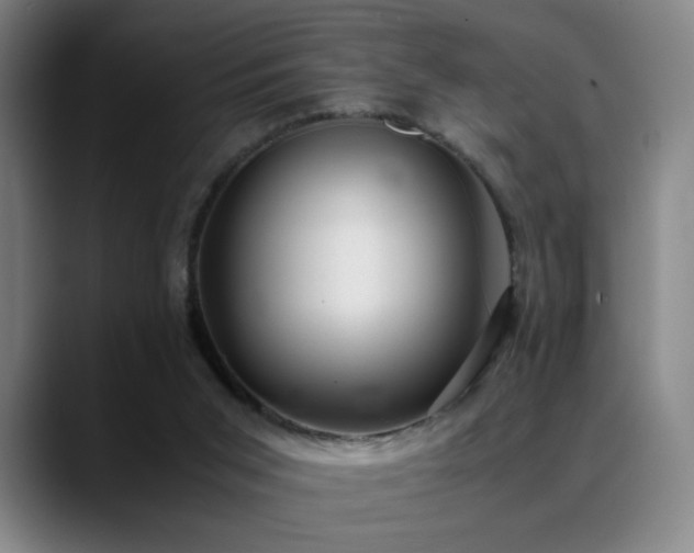X0000089350015200706151110