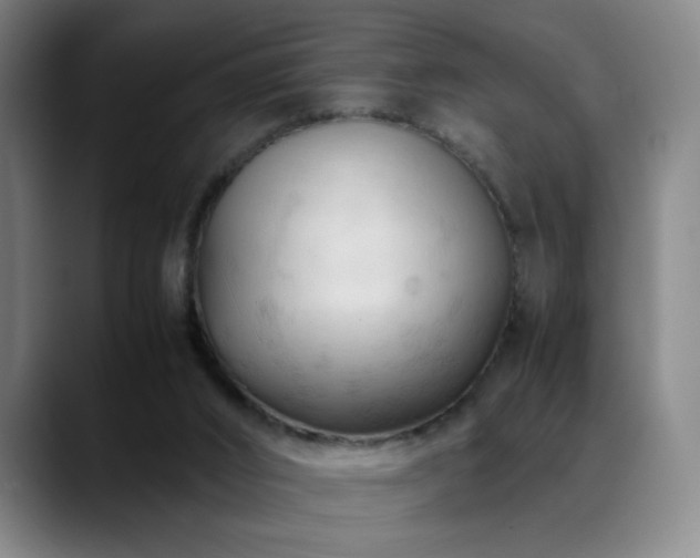 X0000089350016200706151110