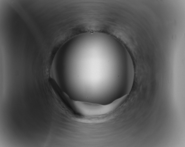 X0000089350017200706151110
