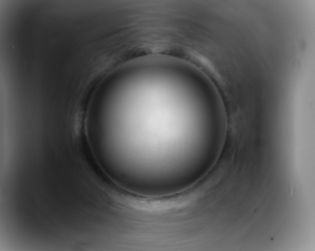 X0000089350018200706151110
