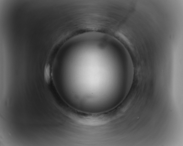 X0000089350020200706151110