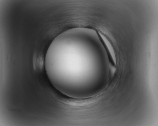 X0000089350021200706151110