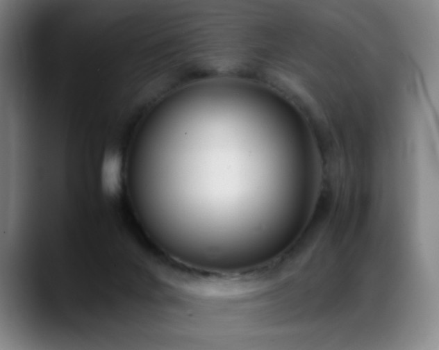 X0000089350024200706151109