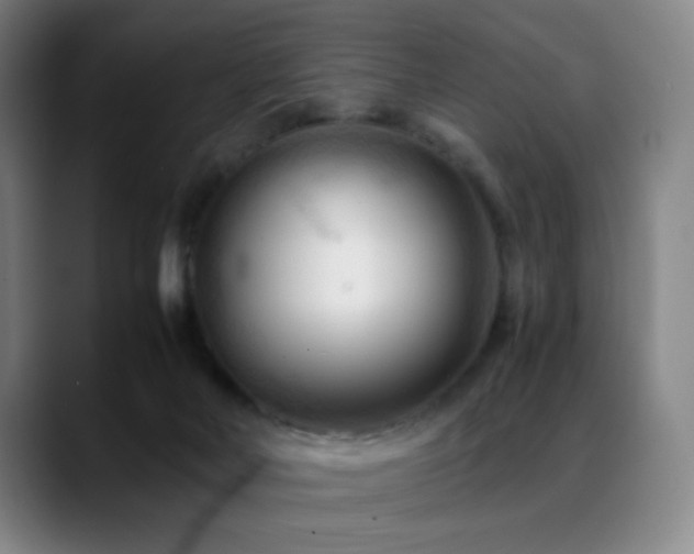 X0000089350026200706151109