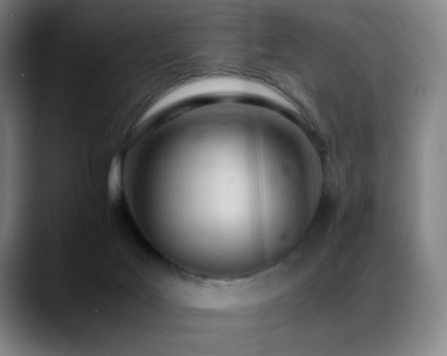 X0000089350027200706151109