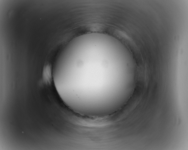 X0000089350028200706151109