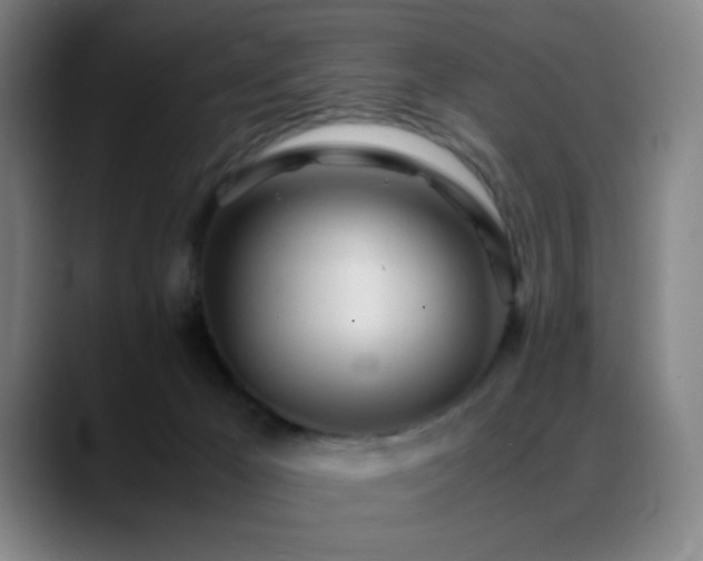 X0000089350029200706151109