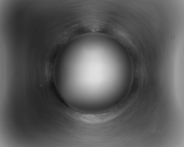 X0000089350030200706151109