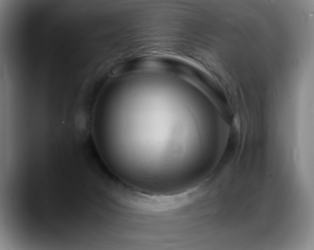X0000089350031200706151109