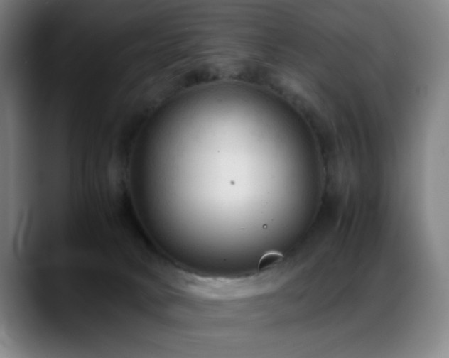 X0000089350034200706151109