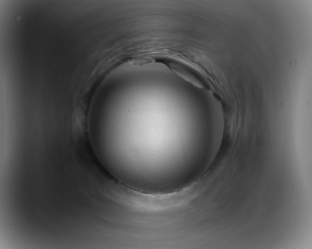 X0000089350035200706151109