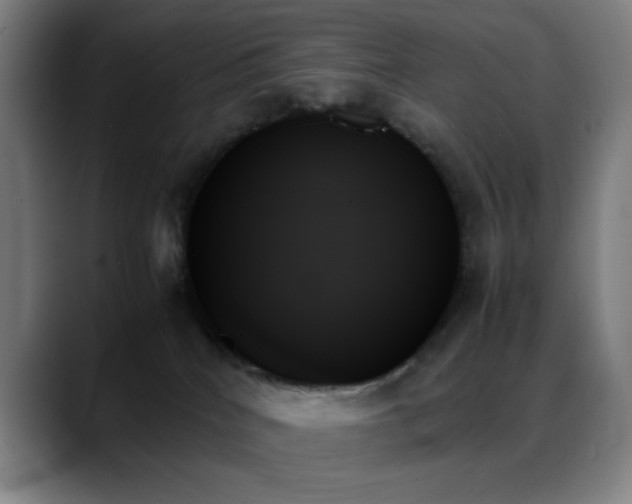 X0000089350040200706151109