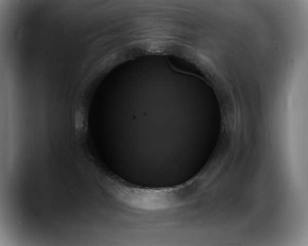 X0000089350044200706151109