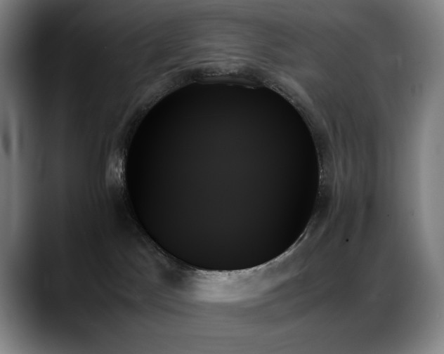 X0000089350045200706151109