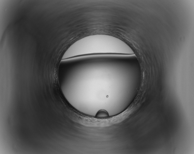 X0000089350048200706151109