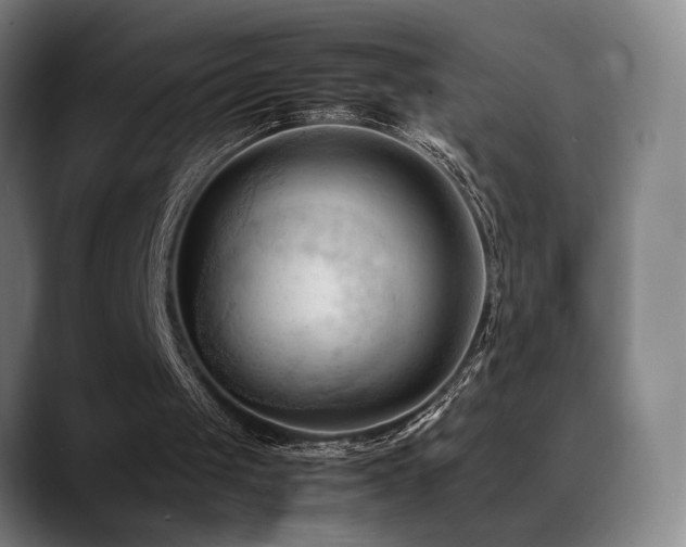X0000089350049200706151108