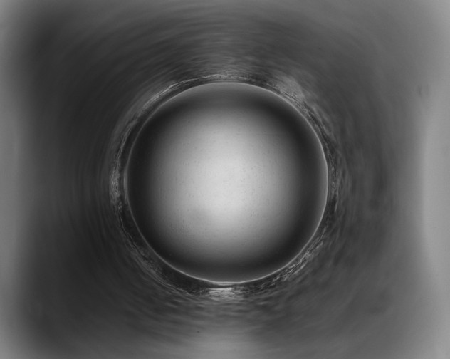 X0000089350050200706151108