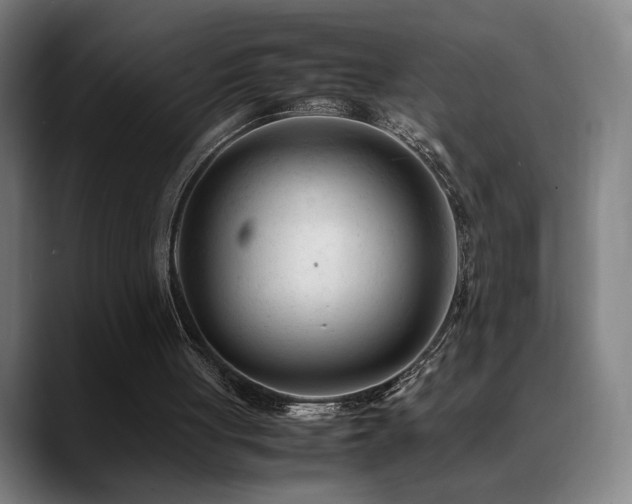 X0000089350051200706151108