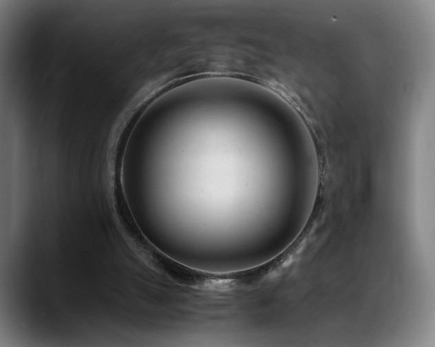X0000089350055200706151109