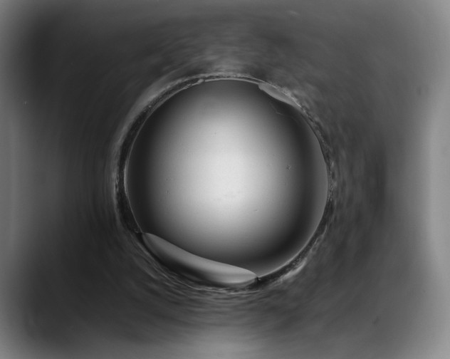 X0000089350056200706151109