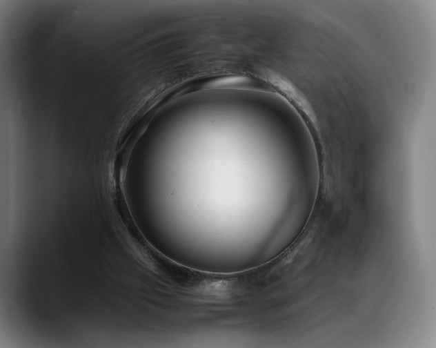 X0000089350057200706151109