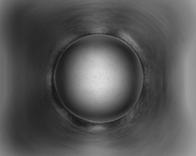X0000089350058200706151109
